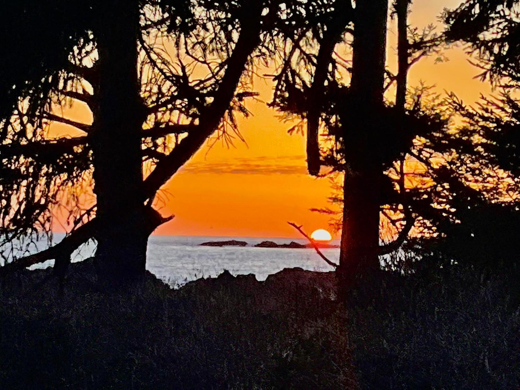 Black Rock Landing Ucluelet Dış mekan fotoğraf