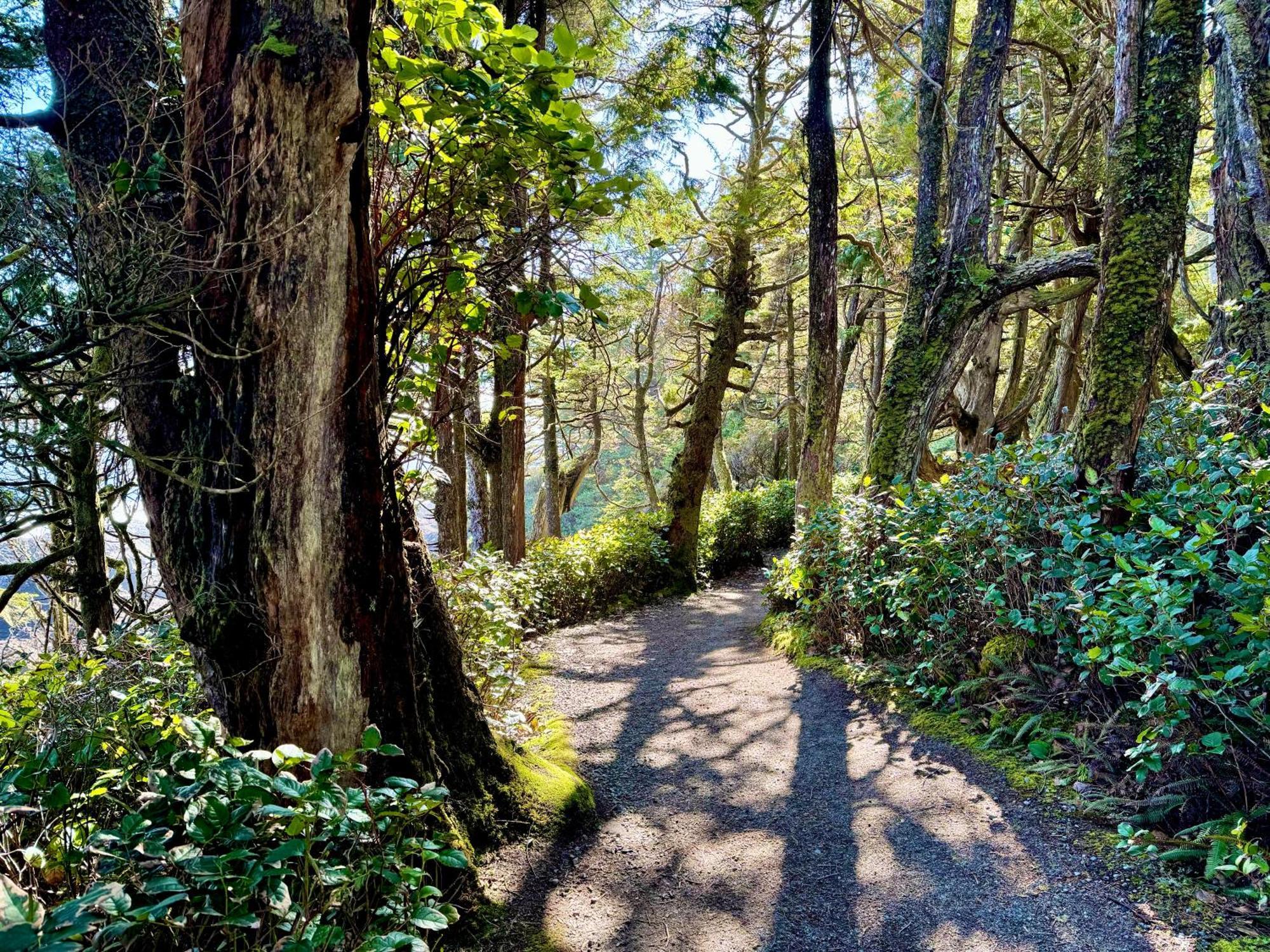 Black Rock Landing Ucluelet Dış mekan fotoğraf
